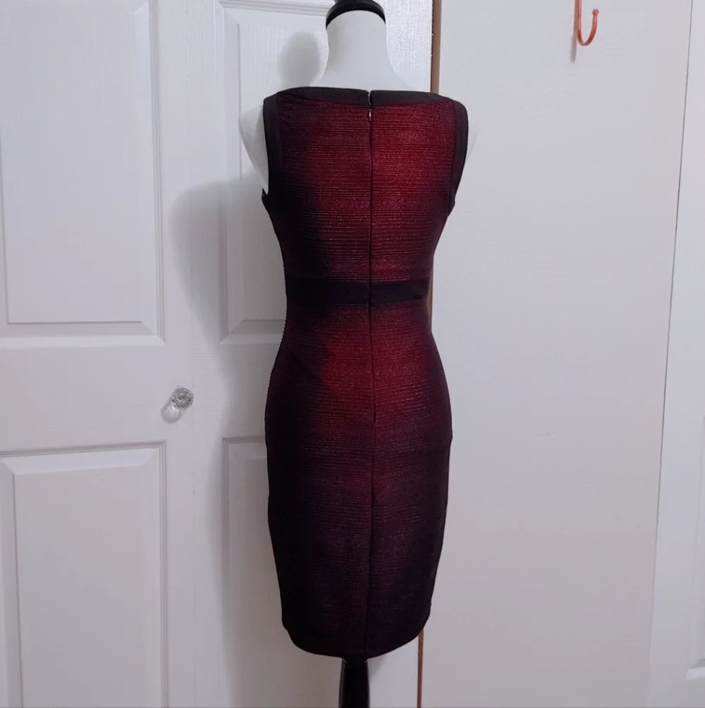 Cache Black and Red Ribbed Bodycon Dress - Picture 7 of 11
